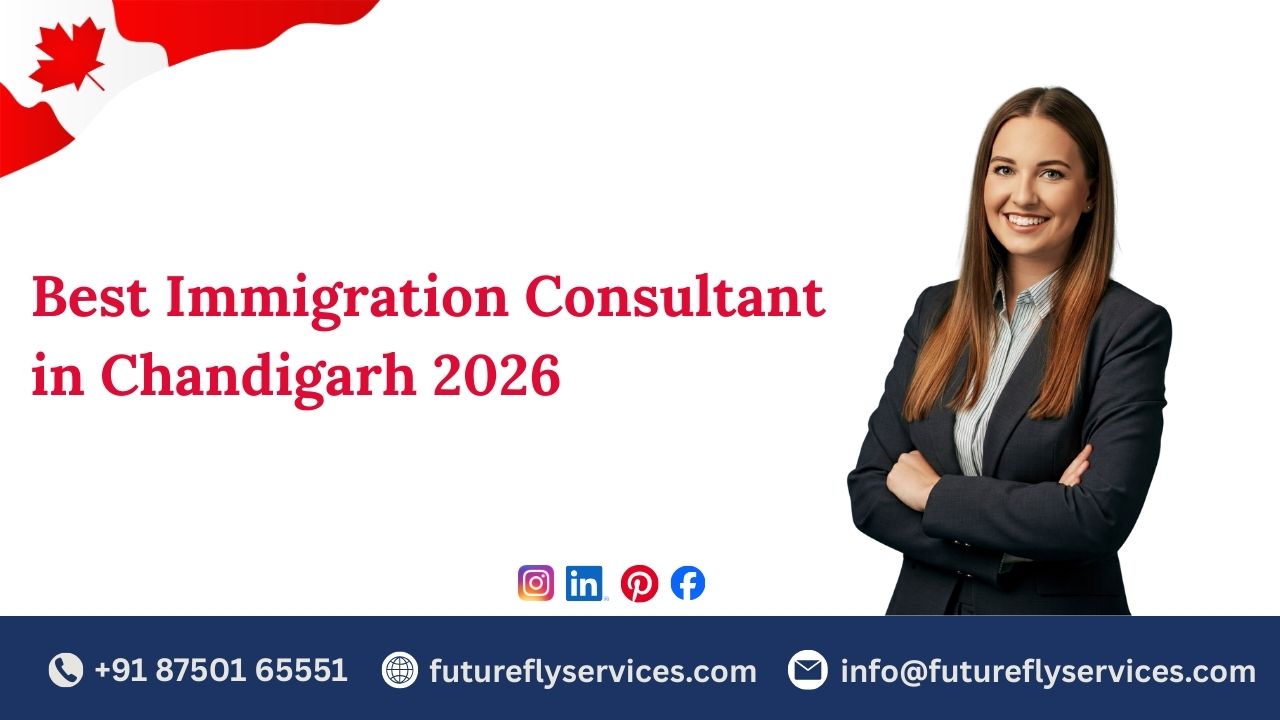 Best Immigration Consultant in Chandigarh